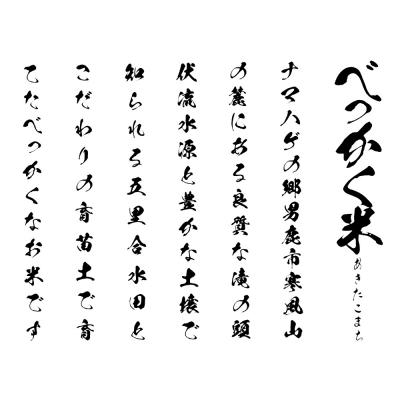 ふるさと納税 男鹿市 《令和7年産》べっかく米 あきたこまち(上白米)3kg|23_ofc-010301 |  | 03