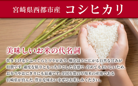 先行予約【5ヶ月定期便】令和7年産　宮崎県産コシヒカリ無洗米　5kg×5回＜8.5-7＞
