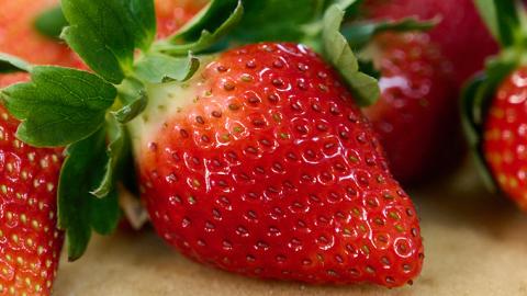 【2ヵ月 定期便】 完熟 いちご 定期便！ 2パック × 2回 合計 4パック （1P260g） 定期便 国産 いちご イチゴ 苺 果物 かおり野 とちおとめ やよいひめ フルーツ 茨城県産 KEK 