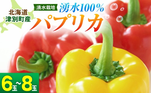 【R8年産】湧水栽培 ナツやさいのパプリカ 6玉〜8玉セット ピンクの八百屋〜ナツやさい〜  | 北海道津別町