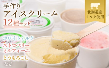 北海道 手作りアイスクリーム 120ml×12個セット (おまかせ詰め合わせ)  南幌町 アイスクリーム アイスクリーム アイスクリーム アイスクリーム アイスクリーム NP1-023