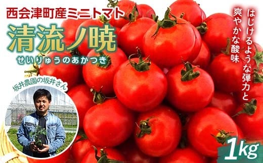 
            【令和7年8月初旬～9月一杯発送予定】坂井農園 無農薬自然栽培西会津ミネラルミニトマト（1kg）（清流ノ暁） 西会津町産 清流ノ暁 野菜 やさい サラダ 生野菜 小分け トマト 国産 お弁当 食品 F4D-0481
          