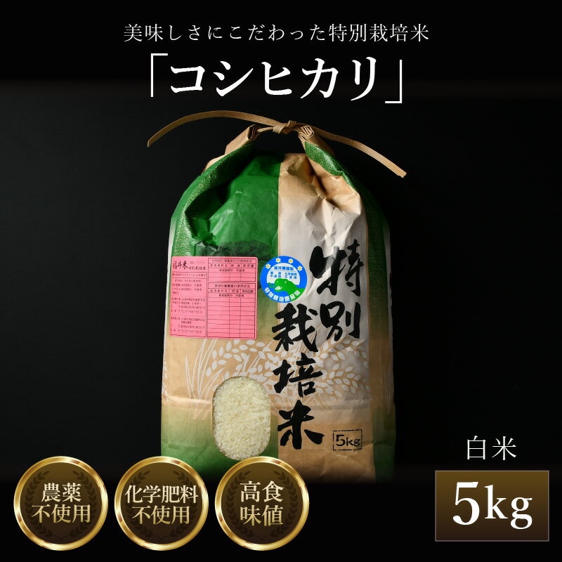 【ふるさと納税】【先行予約】【令和8年産 新米】コシヒカリ 精米 5kg 特別栽培米 農薬不使用 化学肥料不使用 ／ 高品質 鮮度抜群 福井県産 ブランド米 白米 ※2026年9月下旬より順次発送予定