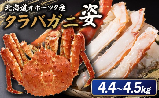
                  北海道オホーツク産 冷タラバガニ姿　4.4～4.5kg | オンライン申請 ふるさと納税 北海道 雄武 北海道産タラバガニ タラバ カニ かに 蟹 冷凍 海産 海産物 ギフト 贈り物 お取り寄せ ワンストップ マイページ 雄武町【1241401】
                