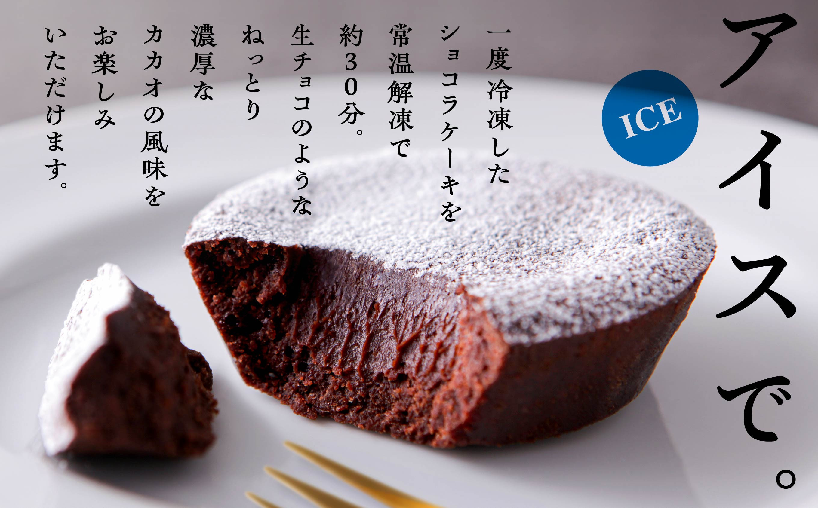 濃厚ショコラケーキ 12個 セット 洋菓子 お菓子 ケーキ チョコレート 詰め合わせ 冷蔵 冷凍 ご当地 グルメ 故郷 ふるさと 納税 潟上 潟上市 バレンタイン ホワイトデー 遅れてごめんね お取り