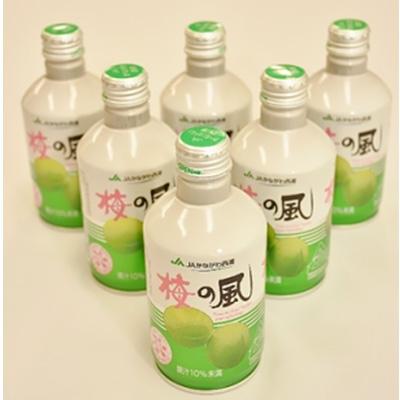 ふるさと納税 松田町 【JAかながわ西湘】梅の風(清涼飲料水)　290ml×24缶