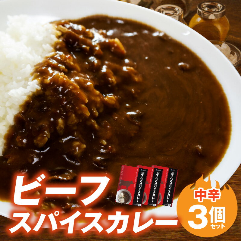 【ふるさと納税】ビーフスパイスカレー 1袋 180g 3個 セット 平茸 牛肉 野菜 32種類 スパイス 平茸 椎茸 たまねぎ 人参 レンコン ゴボウ 中辛 カレー 旨味 簡単調理 レトルト 湯煎 お取り寄せ お取り寄せグルメ 福岡 上毛町 送料無料