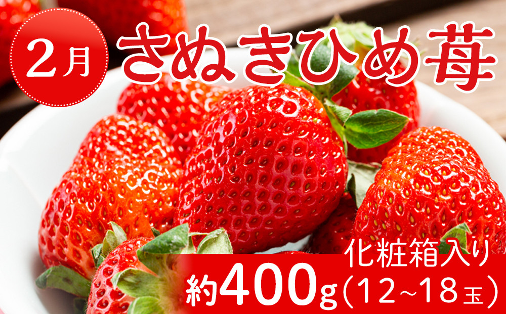 坂出市「旬のフルーツを味わう6回」定期便 【発送月：2月・4月・7月・9月・11月・12月】