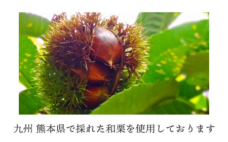 熊本県産 和栗の甘露煮 150g×4袋