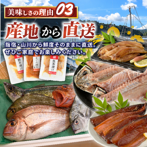 漁師がつくる味噌漬け16Pセット (指宿山川水産/IB035-019) 魚 味噌漬け 焼き魚 焼くだけ 鯛 ブリ ぶり 鰤 サバ さば 鯖 総菜 詰め合わせ セット