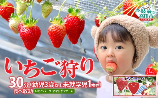（幼児3歳以上未就学児 1枚券）いちごパーク いちご狩り30分食べ放題チケット
