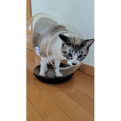 出入口ヨコ−町工場の猫好き社員が開発!犬・猫ちゃんの可愛い姿を見る為のペットの金魚鉢(アクリル樹脂)【1616504】