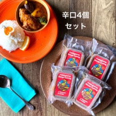 館山スープカレー(チキン)冷凍パック　レギュラー　辛口4人前
