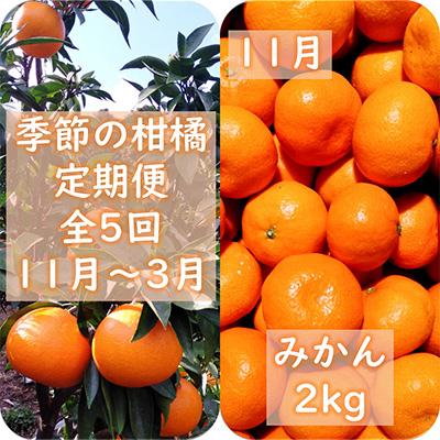 ふるさと納税 八幡浜市 【発送月固定定期便】愛咲果樹園「季節の柑橘定期便」(11月〜3月)全5回【F71-21】 |  | 01