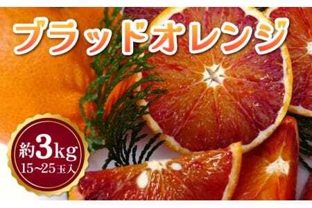 先行予約 ブラッドオレンジ 約3kg（15玉～25玉）【吉田レモニー】【2027年3月上旬-6月中旬発送】柑橘 フルーツ 果物