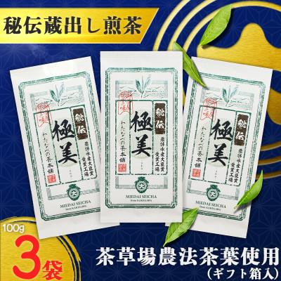 ふるさと納税 掛川市 深蒸し掛川茶「極美」100g×3袋セット