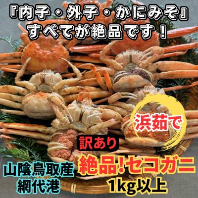 ふるさと納税 智頭町 【さかなや新鮮組】鳥取県産 訳あり 浜茹で 絶品セコガニ1.0kgセット ご家庭用 漁港直送