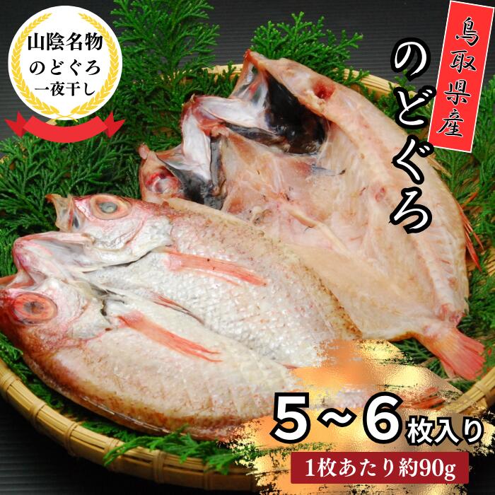 【ふるさと納税】KI03：鳥取県産のどぐろ一夜干し（小5～6枚）