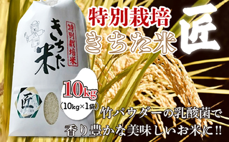 千葉県 大網白里市産 きちた米『匠(たくみ)』 （特別栽培米 コシヒカリ）10kg（10kg×1袋）