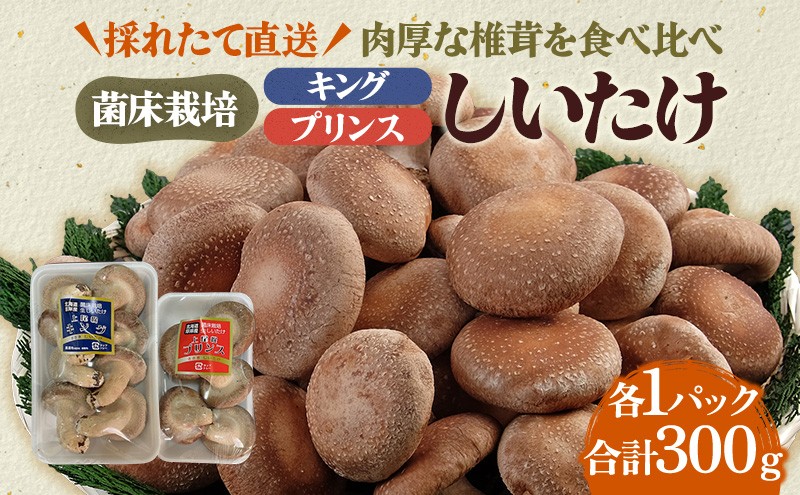 
                  北海道産 厚岸町 上尾幌 菌床栽培 キングしいたけ プリンスしいたけ 各1パック  [№5863-1112]
                