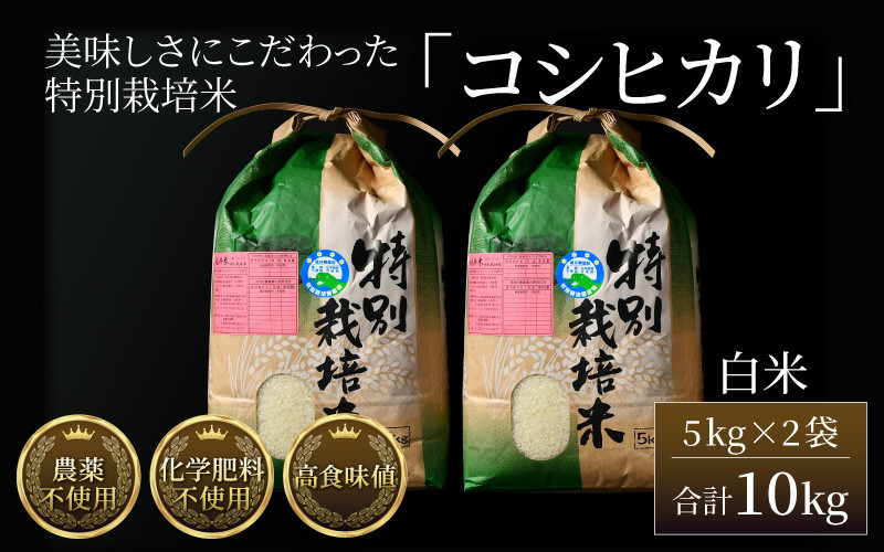 
【令和6年産 新米】コシヒカリ 精米 5kg×2袋（計10kg） 特別栽培米 農薬不使用 化学肥料不使用 ／ 高品質 鮮度抜群 福井県産 ブランド米 白米 新米
