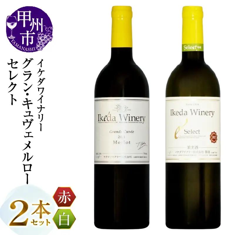 ワイン イケダワイナリー 2本セット【グラン・キュヴェ メルロー / セレクト白】（MG）C-1670