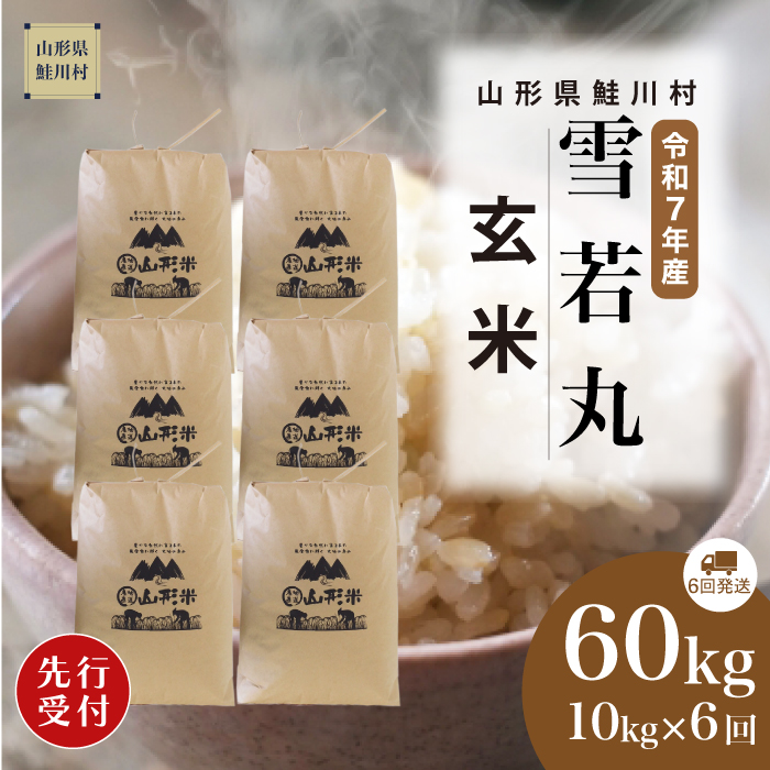 ＜令和7年産米先行受付＞ 鮭川村産 雪若丸 【玄米】60kg定期便(10kg×6回)　配送時期指定できます！