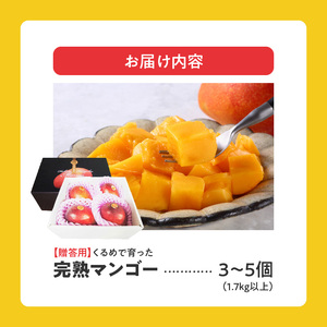 くるめで育った完熟マンゴー(3～5個：約1.8kg)_Fm012