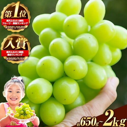 岡山県産 シャインマスカット 約1.2kg 2房 葡萄 果物 訳あり 優品 スイーツ フルーツ デザート 岡山県矢掛町《3-10営業日以内に出荷(土日祝除く)》