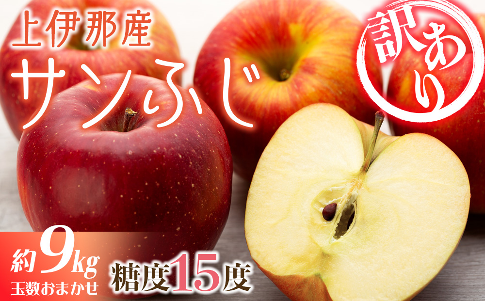 【訳あり】上伊那産サンふじ 約9kg　玉数おまかせ