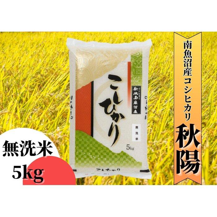 【ふるさと納税】【令和8年産 新米予約／定期便】南魚沼産コシヒカリ「秋陽」(無洗米5kg)×12回 新潟県の特A地区南魚沼市の美味しいお米【米 お米 こしひかり 南魚沼 米 無洗米 こめ 新潟 米】【2026年10月上旬より1ヶ月以内に順次発送予定】