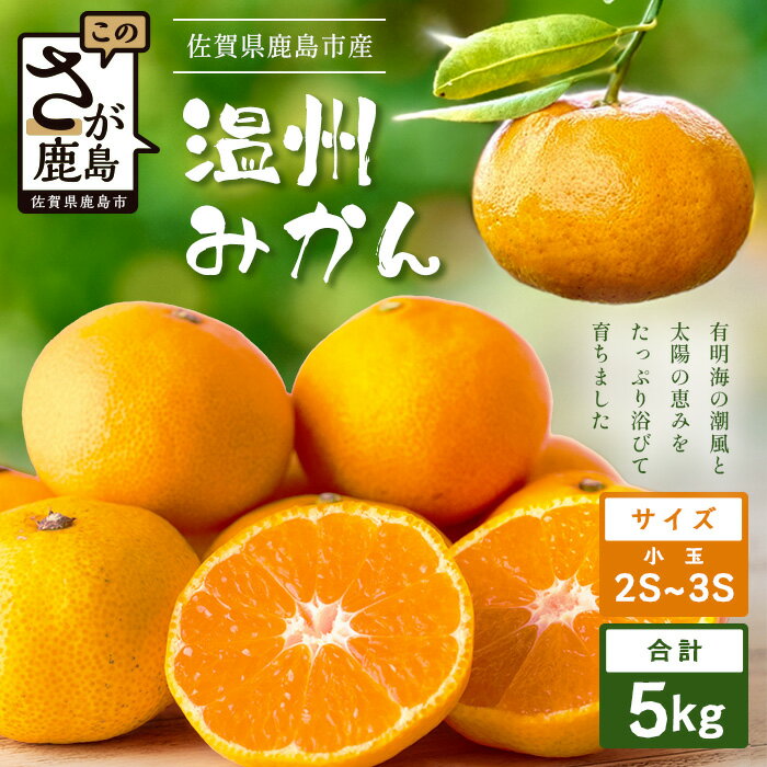 【ふるさと納税】先行予約 温州みかん 小玉(SS,3S)5kg【数量限定】2026年11月上旬頃から12月中旬頃の発送予定 有明海の潮風で育った鹿島産みかん フレッシュ 柑橘 果物 フルーツ オレンジ 注目 佐賀県鹿島市 人気 送料無料 A-205