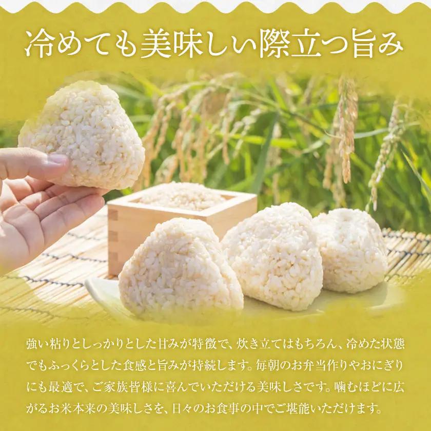 【3ヶ月定期便】R8年産米 米 白米 コシヒカリ 5kg 《お申込みの翌月から出荷》