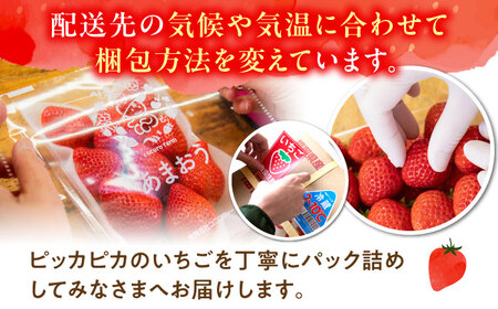 【2025年1月下旬-3月下旬発送】ココロファーム の 濃厚あまおう 285g × 4P 約1,140g [先行予約] 《豊前市》【ココロファーム】[VAE022] 苺 いちご あまおう 福岡県産[V
