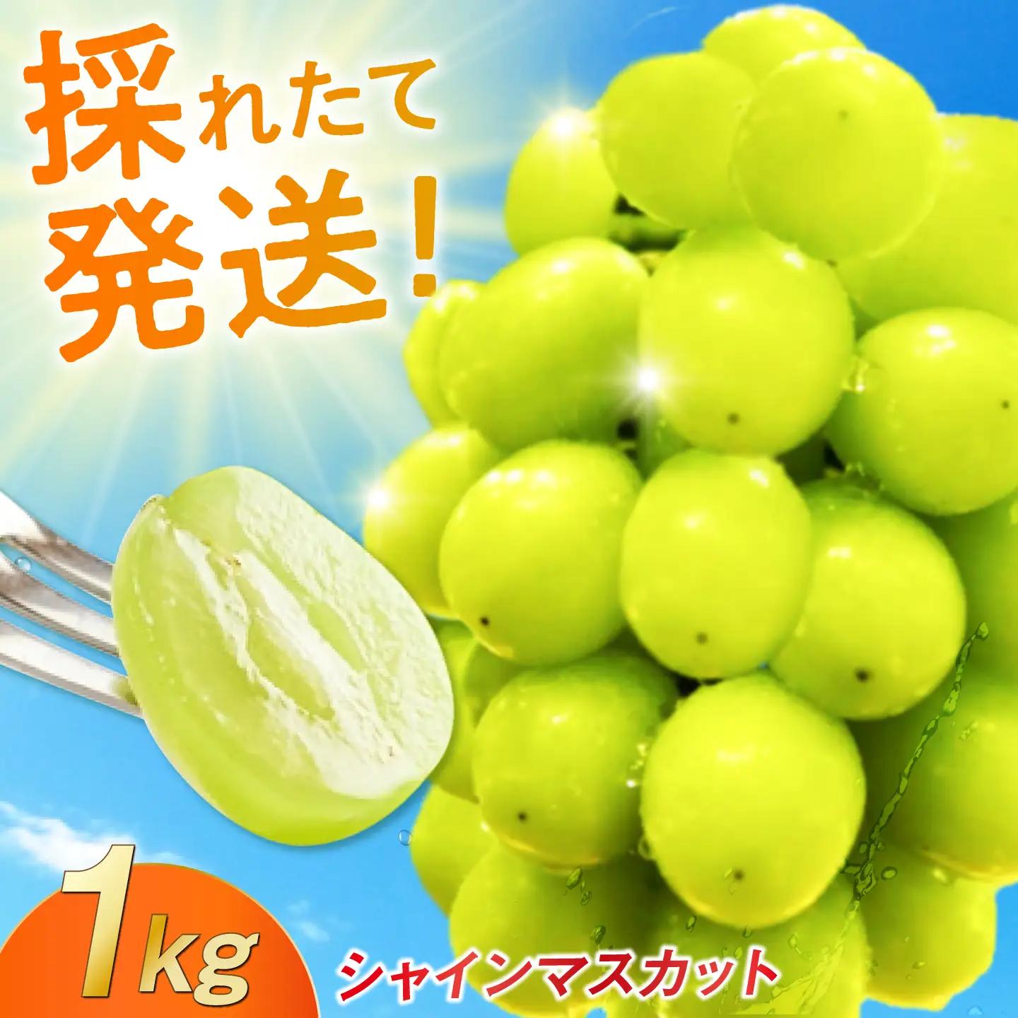 【2026年発送 先行予約】シャインマスカット 1kg / 佐賀県 / リフルット株式会社 [41ABAA011]