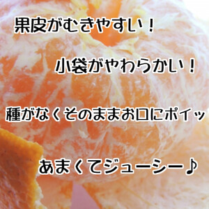 ［先行予約］［秀品］和歌山有田のデコポン！約2.5kg ［2027年1月下旬以降順次発送］［NGT15］