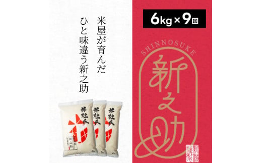 【9ヶ月定期便】 特別栽培米 新之助 6kg (2kg×3袋)×9回 米杜氏 壱成 氷温熟成 白米 精米 大粒 つや 光沢 弾力 芳醇 1H25127