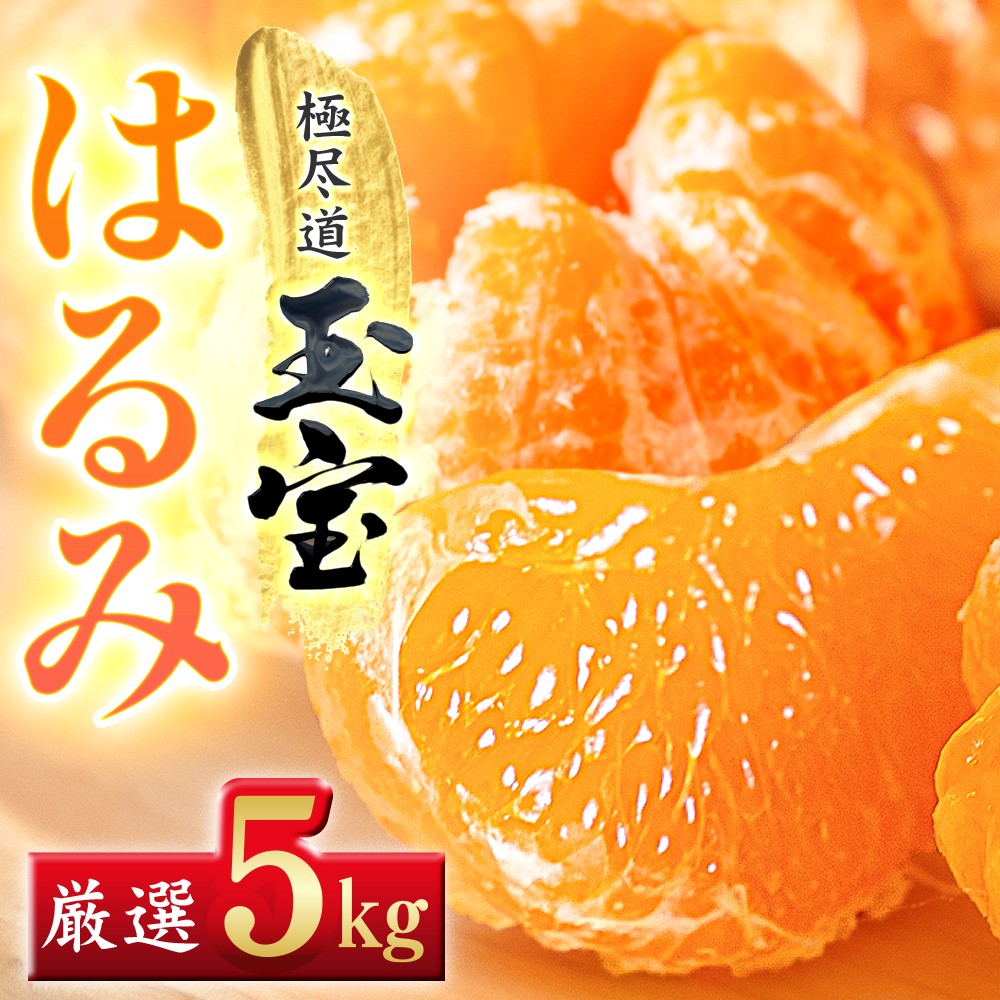 
                  【先行受付】【果粒の旨み】ぷちぷち食感【はるみ】5kg　愛媛県産【64-98】【1751178】ふるさと納税 果物 くだもの はるみ みかん ミカン 蜜柑 柑橘 フルーツ 選べる 3kg 4kg 5kg 10kg 内容量 期間限定 季節限定 特産品 YWTY095
                