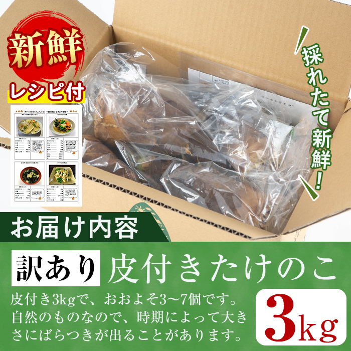 i500 ≪数量限定！2025年4月上旬～4月中旬の間に発送予定≫【訳あり】鹿児島県出水市産！タケノコ＜皮付き3kg＞ たけのこ 筍 タケノコ 国産 皮付き 訳アリ 野菜 旬 新鮮 採りたて 煮物 味