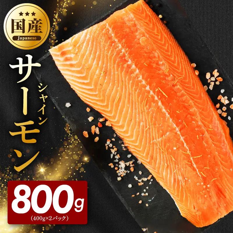 シャインサーモン 800g（400g×2P）