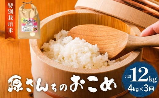 《先行予約》令和7年度産 原さんちのお米 ４kg ひとめぼれ 3回定期便 特別栽培米 原農園 有機栽培 化学肥料不使用 アートテン農法 抗酸化農法 完熟堆肥 有効微生物農法 産直 お米 栄養価 体に良い おいしい 安心 田植え 収穫