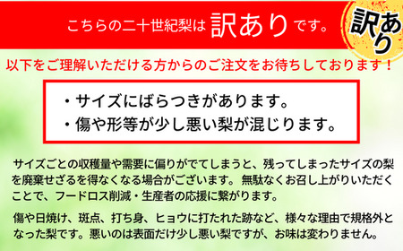 【訳あり 梨 20世紀梨 5kg（10～18玉）】9/9が最終受付です サイズバラつき有り（L～5L）農家応援 傷あり 不揃い ご家庭用 大人気 二十世紀梨 果肉はしっかり シャキシャキの食感 ほどよ