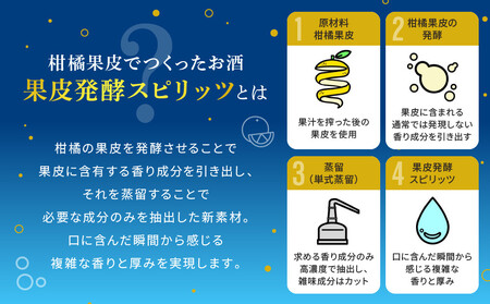 【宝酒造】タカラ「発酵蒸留サワー」＜クリア＞（350ml×24本）（人気,おすすめ,お酒,チューハイ,缶チューハイ）