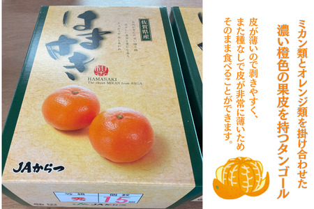 佐賀みかん 唐津産【はまさき】麗紅みかん：B210-021