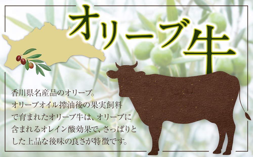 オリーブ牛　ハンバーグ4袋(100g×8枚)セット