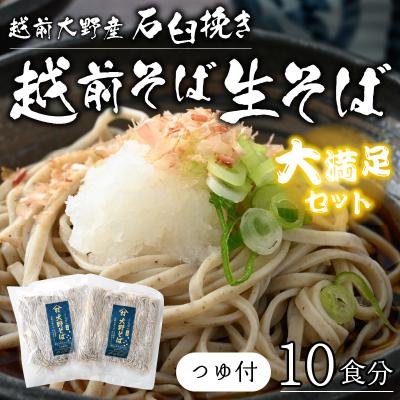 ふるさと納税 大野市 越前大野産 石臼挽き 越前そば 生そば10食(つゆ付)