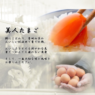 【毎月定期便】計180個【生みたて濃厚】谷川養鶏の美人たまご30ヶ入り　※サイズ指定できません全6回【配送不可地域：離島】