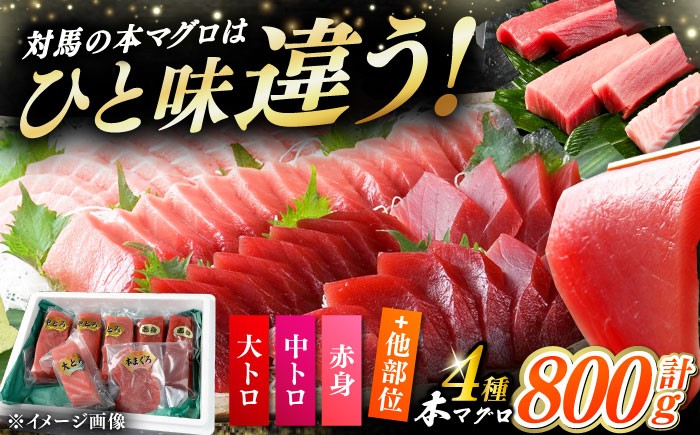 冷凍 マグロ まぐろ 中トロ 中とろ 鮪 本マグロ 赤身 ねぎとろ ネギトロ たたき トロ 刺身 海鮮 海産物 魚 柵 