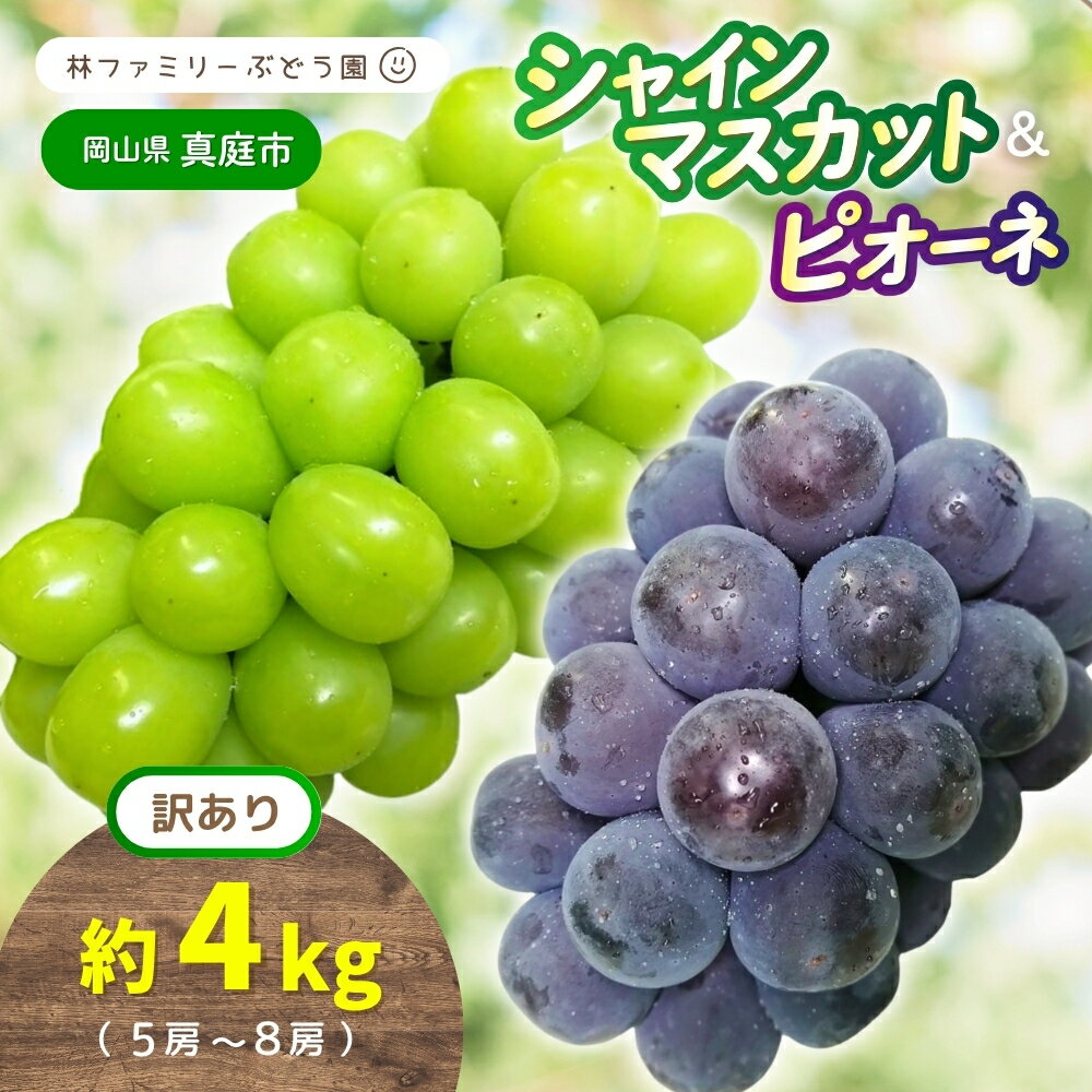【ふるさと納税】【 訳あり 】岡山県産 林ファミリーの シャインマスカット & ピオーネ 約4kg（約5～8房） 【2025年先行予約】 / 葡萄 ぶどう ブドウ マスカット 果物 フルーツ 食べ比べ 新鮮 当日出荷 家庭用 お試し ぶどう専門 林ファミリー 真庭市