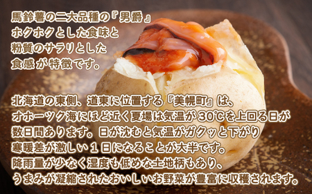 じゃがいも「男爵」10kg じゃがいも イモ いも 男爵いも 北海道 美幌町 送料無料 BHRG020 じゃがいも ジャガイモ いも 男爵 じゃがいも ジャガイモ いも 男爵 じゃがいも ジャガイモ 